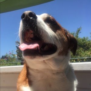 Meet your Posher, Monet